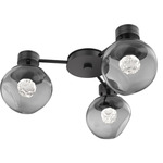 Luna Hub & Spoke Ceiling Light / Wall Sconce - Matte Black / Smoke Floret