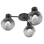 Luna Hub & Spoke Ceiling Light / Wall Sconce - Matte Black / Smoke Zircon