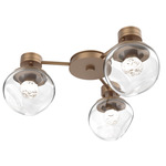Luna Hub & Spoke Ceiling Light / Wall Sconce - Novel Brass / Clear Floret