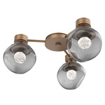 Luna Hub & Spoke Ceiling Light / Wall Sconce - Novel Brass / Smoke Floret