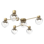 Luna Hub & Spoke Ceiling Light / Wall Sconce - Gilded Brass / Clear Floret
