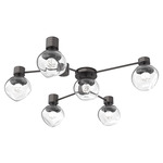 Luna Hub & Spoke Ceiling Light / Wall Sconce - Graphite / Clear Floret