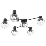 Luna Hub & Spoke Ceiling Light / Wall Sconce - Matte Black / Clear Floret