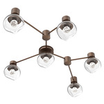 Luna Hub & Spoke Ceiling Light / Wall Sconce - Burnished Bronze / Clear Floret