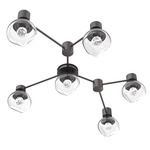 Luna Hub & Spoke Ceiling Light / Wall Sconce - Graphite / Clear Floret