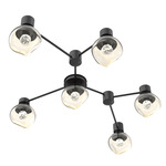 Luna Hub & Spoke Ceiling Light / Wall Sconce - Matte Black / Amber Floret