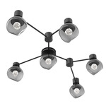 Luna Hub & Spoke Ceiling Light / Wall Sconce - Matte Black / Smoke Floret
