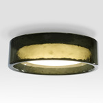 Ringo Color-Select Ceiling Light - Black / Green