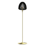 Clava Floor Lamp - Brushed Brass / Black Oak