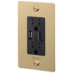 Buster + Punch Linear USB A+C Duplex Outlet - Brass