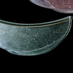 Dali Linear Pendant - Iron Gray / Green