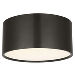 Dola Ceiling Flush Light - Bronze / Clear