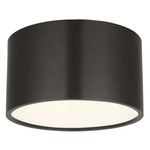Dola Ceiling Flush Light - Bronze / Clear