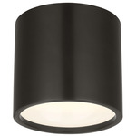 Dola Ceiling Flush Light - Bronze / Clear