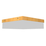 Clean Square Ceiling Flush Light - Louro Freijo / White