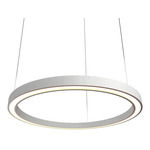 Frame Ring Downlight Pendant - Organic White / White Acrylic