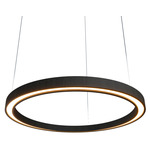 Frame Ring Downlight Pendant - Charcoal / White Acrylic