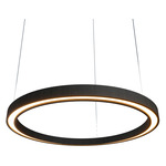 Frame Ring Downlight Pendant - Charcoal / White Acrylic