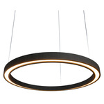 Frame Ring Downlight Pendant - Charcoal / White Acrylic
