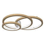 Frame Rings Ceiling / Wall Mount - Maple / White
