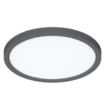 Eon Color-Select Ceiling Light - Black / White