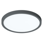 Eon Color-Select Ceiling Light - Black / White