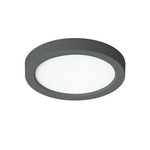 Eon Color-Select Ceiling Light - Black / White