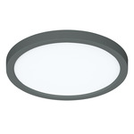Eon Color-Select Ceiling Light - Black / White