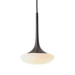 Louis Pendant - Satin Graphite / Opal