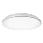 Brook Wall / Ceiling Light - White / Frosted
