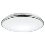 Brook Wall / Ceiling Light - Chrome / Frosted