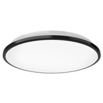Brook Wall / Ceiling Light - Black / Frosted