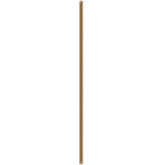 Fan Downrod - Brushed Gold