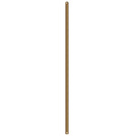 Fan Downrod - Brushed Gold