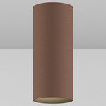 CY1 Cylinder Outdoor Fixed Ceiling Light - Architectural Bronze / Black Baffle