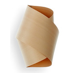Orbit Wall Sconce - White / Natural Beech