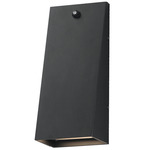 Pathfinder Color-Select Rectangle Wall Sconce with Photocell - Black