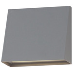 Pathfinder Color-Select Outdoor Wall Sconce - Silver