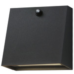 Pathfinder Color-Select Outdoor Wall Sconce with Photocell - Black