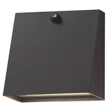 Pathfinder Color-Select Outdoor Wall Sconce with Photocell - Architectural Bronze