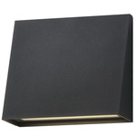Pathfinder Color-Select Outdoor Wall Sconce - Black
