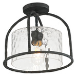 Del Mar Convertible Outdoor Ceiling Light - Blacksmith / Water Glass