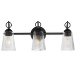 Jackson Hole Bath Vanity Light - Black / Clear