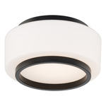 Preston Color-Select Ceiling Light - Black / Opal