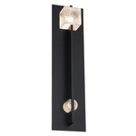 Scepter Outdoor Wall Light - Black / Clear