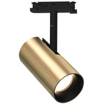 MicroTrack 48V Pico Track Head - Satin Brass