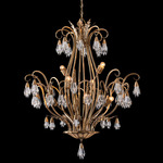 Tulipani Chandelier - Winter Brass / Firenze Clear