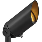 Hardy Island 12V MR16 Spot Light - Brass Satin Black / Clear