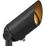 Hardy Island 12V MR16 Spot Light - Brass Satin Black / Clear