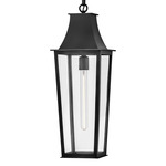 Georgetown Outdoor Pendant - Black / Clear